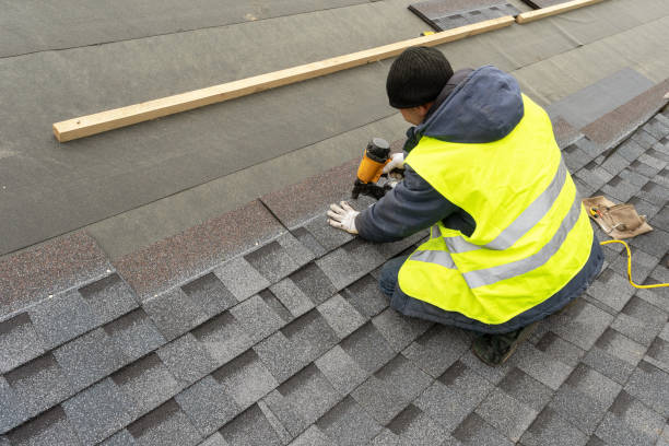 Best Roof Restoration Services  in Jerseyvle, IL