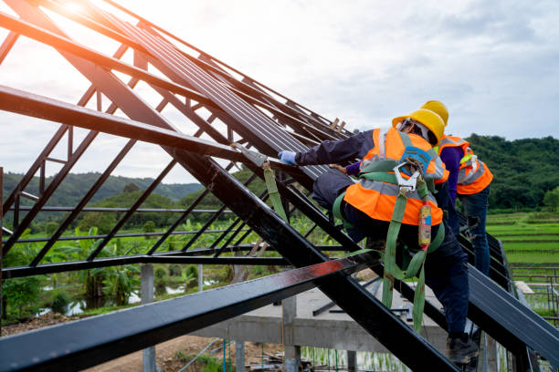 Best Best Roofing Contractors  in Jerseyvle, IL