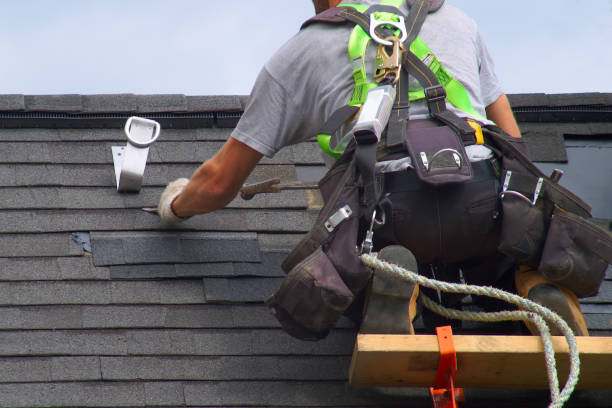 Best Roof Replacement Cost  in Jerseyvle, IL