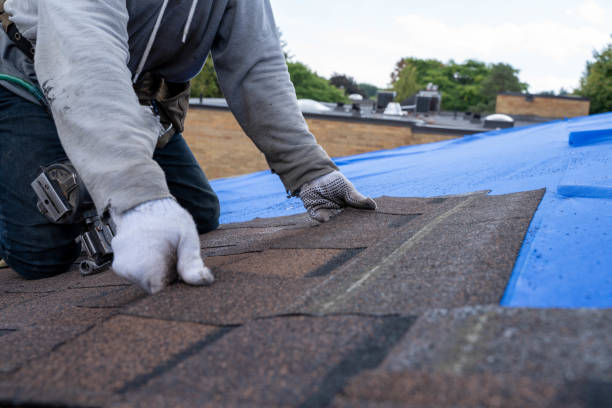 Best Roof Leak Repair  in Jerseyvle, IL
