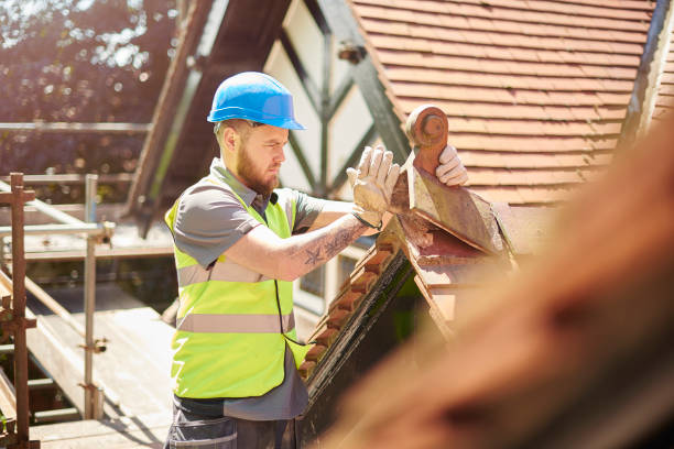 Best Roof Repair Services  in Jerseyvle, IL